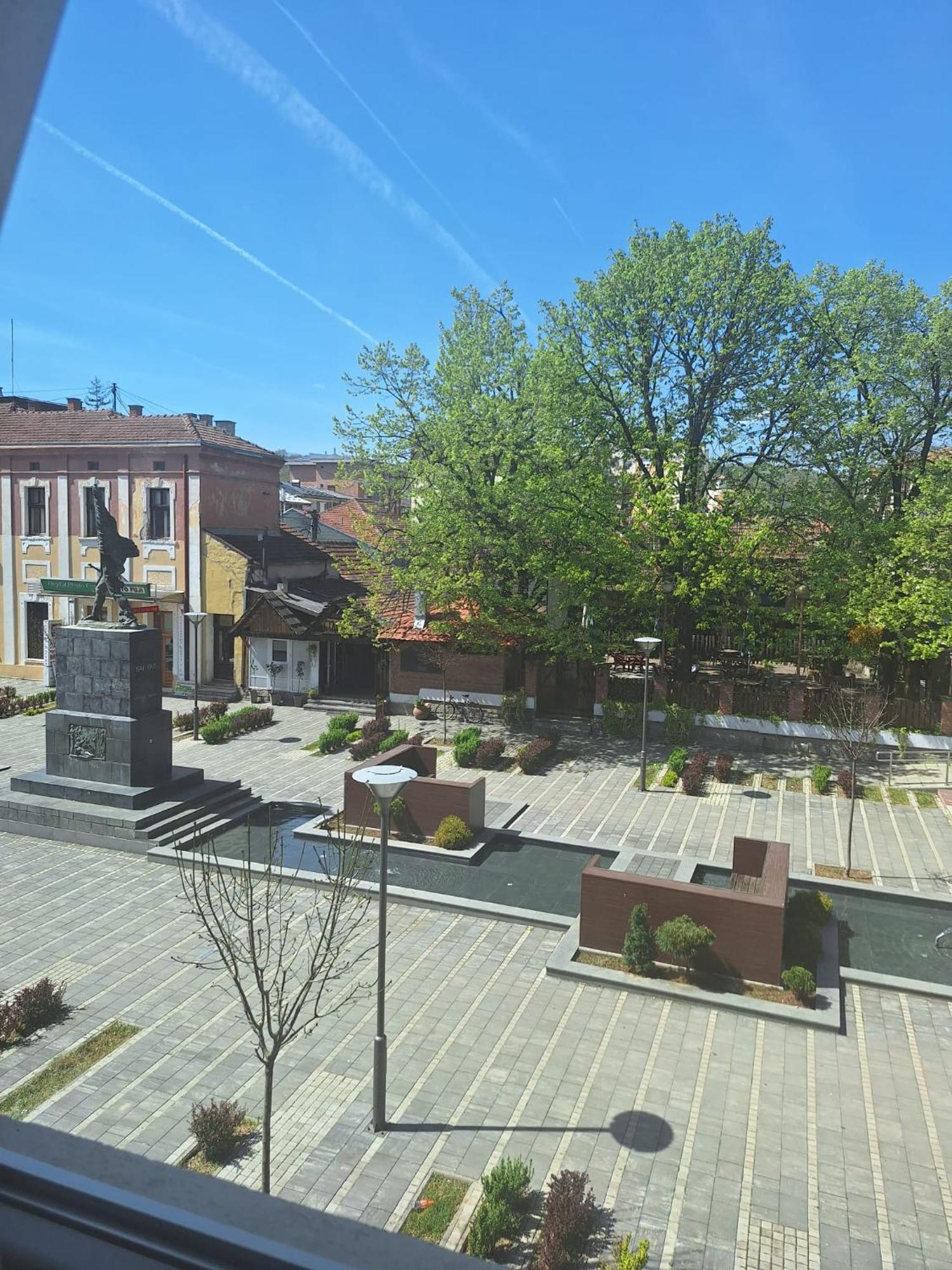 Rooms S&S Milicevic U Strogom Centru Aleksandrovca Aleksandrovac Oda fotoğraf